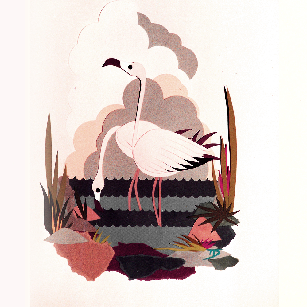 Flamingo